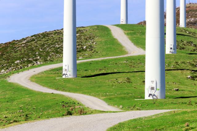 Wind mills on field